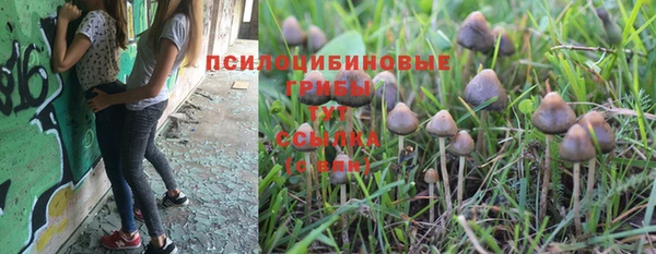 первитин Володарск