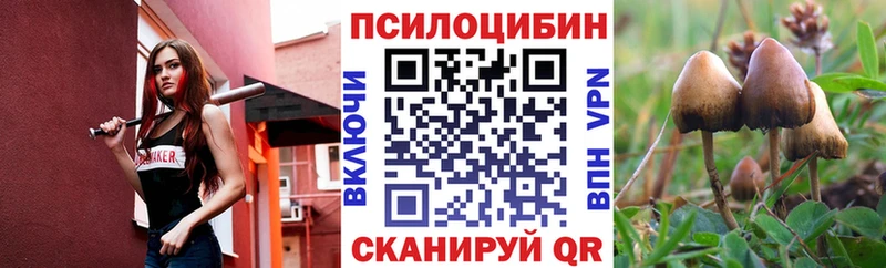 Купить где  Апрелевка  Псилоцибиновые грибы Psilocybe 
